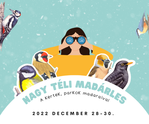 A KÉT ÜNNEP KÖZÖTT INDUL A NAGY TÉLI MADÁRLES!