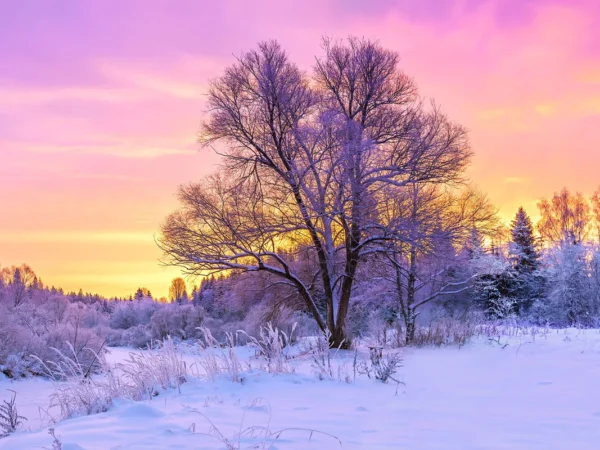 Csillagködképlet est, 2026 leglátványosabb égi jelenségei és Az év madara 2026 és Téli madáretetés a hétfői Nyitányban