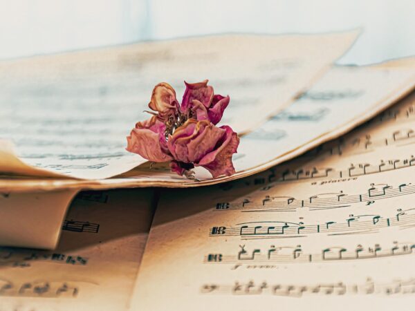 Kodály Zoltán X. Magyar Kórusverseny Budapesten a szerdai Intermezzoban